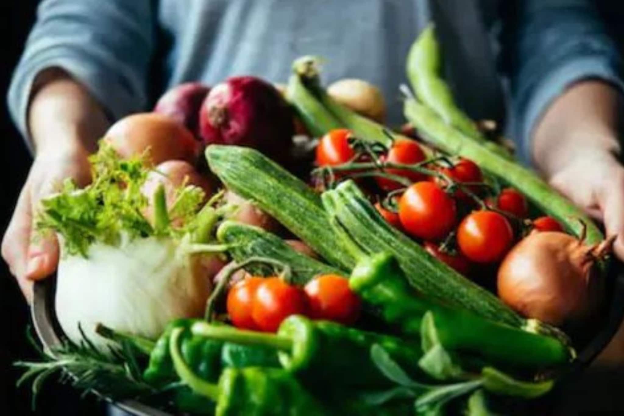 ऐकावं ते नवल! एकाच रोपाला येतात बटाटा, वांगी आणि टोमॅटो, कसा झाला चमत्कार?