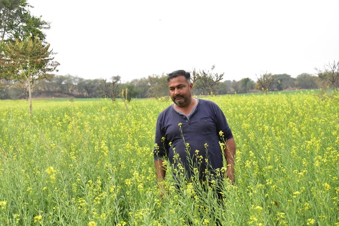 बायो डी-कंपोझरचा वापर शेतातील अवशेषांचे त्वरित कंपोस्टिंग आणि मातीचे आरोग्य सुधारण्यासाठी आणि वनस्पतींचे रोग टाळण्यासाठी गांडुळांच्या मोठ्या प्रमाणात उत्पादनासाठी केला जातो. गाईच्या शेणातून सूक्ष्म सेंद्रिय जीवाणू काढून ते तयार केले जाते.