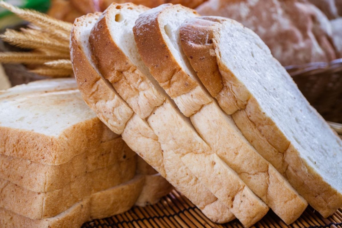 प्रतीकात्मक फोटो (सौजन्य - Canva)