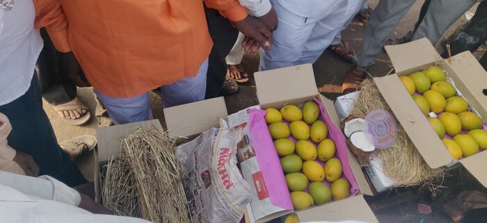 यंदा आंब्याची आवक ही कमी असल्याने व्यापाऱ्यांना चांगला दाम मिळेल असे बोलले जात आहे. आजपासून आंब्याच्या सिझनला सुरुवात होत आहे. पहिल्या दोन पेट्या कुणकेश्वर देवगड या भागातून सांगलीच्या फळ मार्केटमध्ये दाखल झाल्यानंतर गजानन फ्रुट एजन्सी समोर व्यापाऱ्यांनी या पेटीच पूजन करत स्वागत केले. 