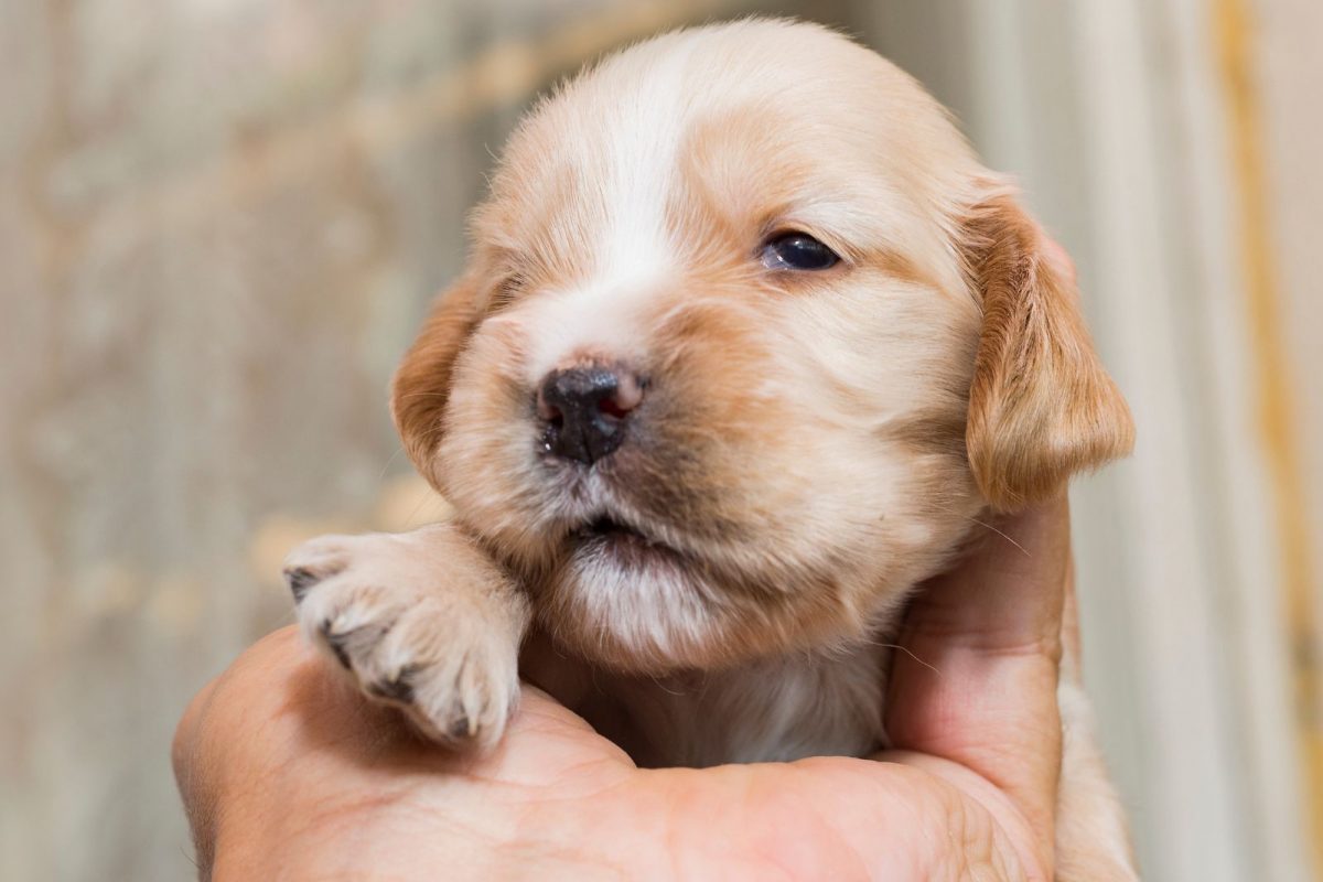 प्रतीकात्मक फोटो (सौजन्य - Canva)