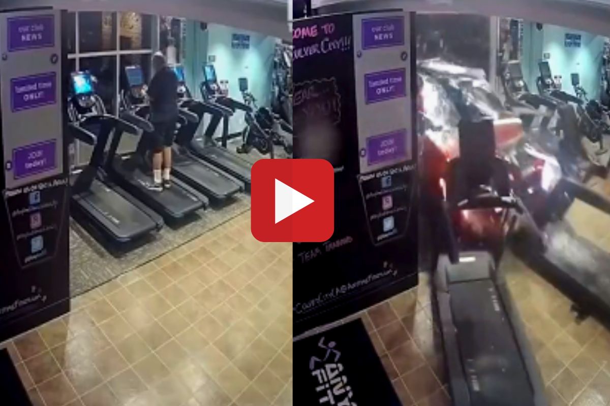 व्हायरल व्हिडीओ