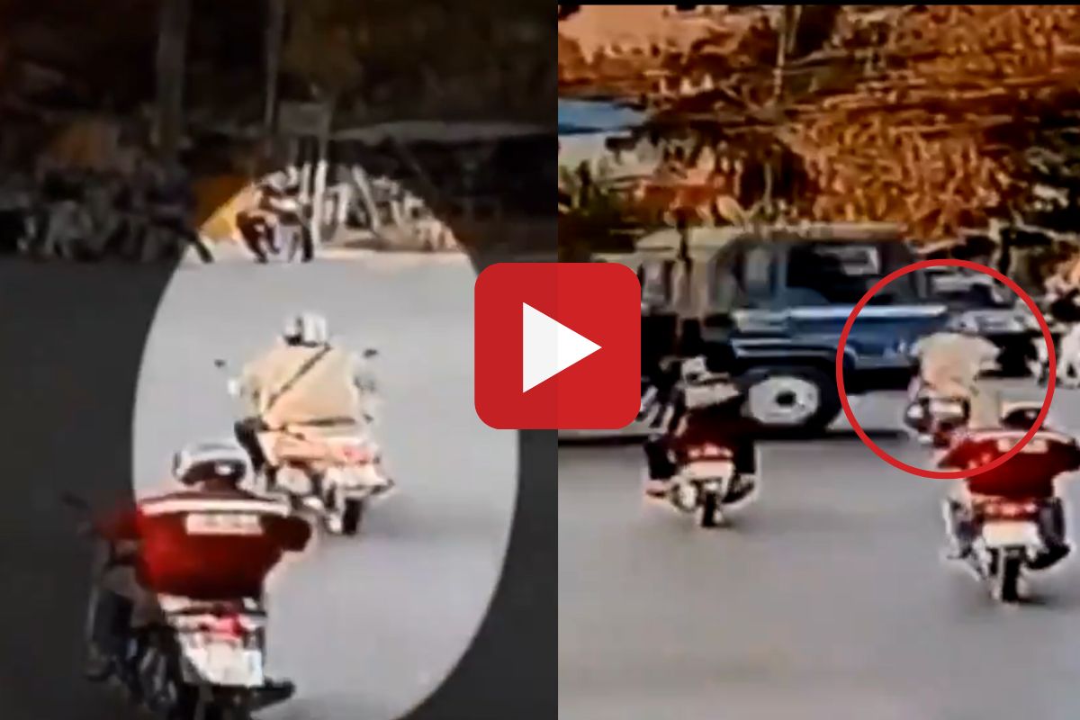 व्हायरल व्हिडीओ