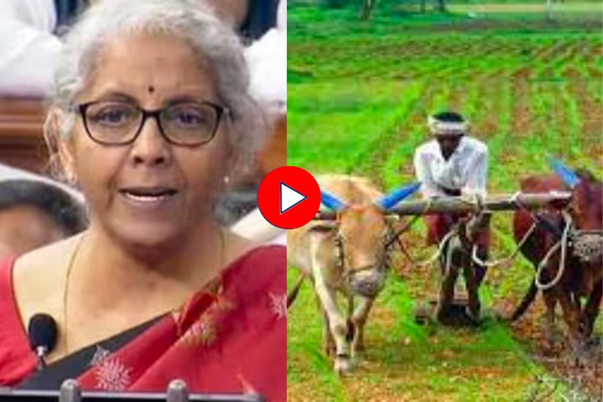 Union Budget 2023 : मराठवाड्यातील शेतकऱ्यांना बजेटमधून काय मिळालं? पाहा Video