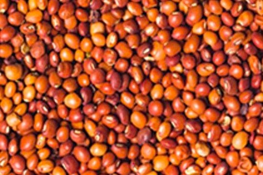 (सौजन्य सोशल मीडिया)