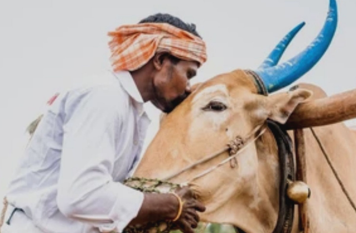 गायी-म्हशींना संगीत ऐकवा अन्..