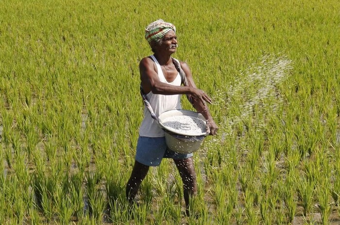  यादीत असं चेक करा तुमचं नाव : सर्वप्रथम pmkisan.gov.in या PM किसानच्या अधिकृत वेबसाइटला भेट द्या. फार्मर्स कॉर्नरवरील बेनिफिशियरी लिस्ट टॅबवर क्लिक करा. त्यानंतर तुमचे राज्य, जिल्हा, उपजिल्हा, ब्लॉक आणि गाव निवडा. शेवटी रिपोर्टवर क्लिक करा आणि लाभार्थ्यांची यादी तुमच्या समोर येईल. यासोबतच, पीएम किसानचा 13 वा हप्ता जारी झाल्यानंतर, तुम्हाला लाभ मिळाला आहे की नाही हे तुम्ही वेबसाइट किंवा अॅपद्वारे ऑनलाइन चेक करु शकता. 