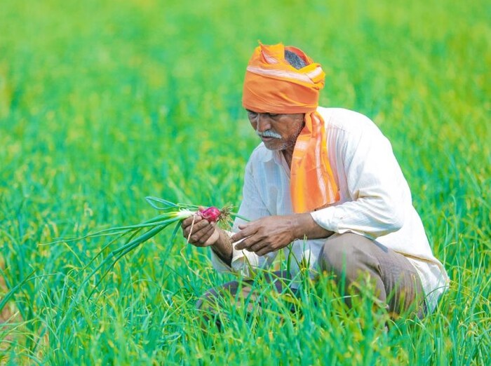 पीएम किसान 13व्या हप्त्याचे स्टेट मोबाइलवर कसे चेक करावं : यासाठी सर्वप्रथम तुम्हाला गुगल प्ले स्टोअरवर जाऊन पीएम किसान अॅप डाउनलोड करावं लागेल. त्यानंतर बेनिफिशियरी स्टेटसवर क्लिक करा. त्यानंतर मागितलेली माहिती भरल्यानंतर तुमच्यासमोर एक यादी येईल.