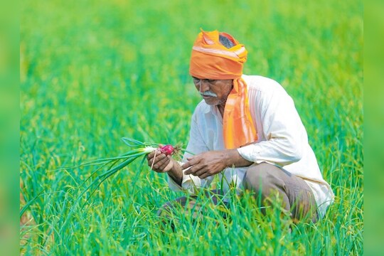 Maha budget 2023 : शेतकऱ्यांसाठी गुडन्यूज! 1 रुपयांत मिळणार पीकविमा, बजेटमध्ये मोठी घोषणा