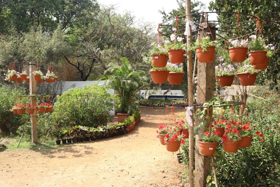 कुंड्यामध्ये वाढलेल्या फळभाज्या पालेभाज्या व विदेशी वनस्पती, फळझाडे, हंगामी फुलझाडे, शोभिवंत पानाची झाडे, सुगंधी व औषधी वनस्पती, गुलाबाची रोपे यांचे शेकडो प्रकार मुंबईकरांना या प्रदर्शनात पहायला मिळणार आहेत. 