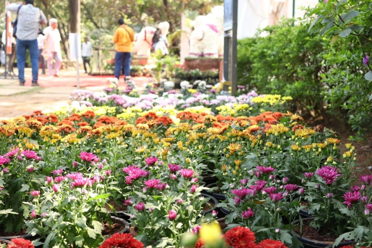 मुंबई महानगर प्रदेश विकास प्राधिकरण संचालित महाराष्ट्र निसर्ग उद्यान येथे 3 दिवसीय प्रदर्शन आयोजित करण्यात आले होते. याचे उद्घाटन महानगर आयुक्त श्री एस. व्ही. आर. श्रीनिवास भा. प्र.से. यांच्या हस्ते करण्यात आले. 