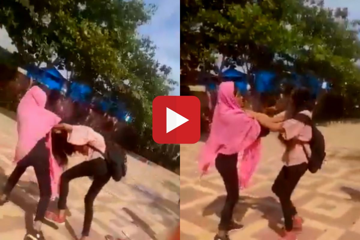 व्हायरल व्हिडीओ