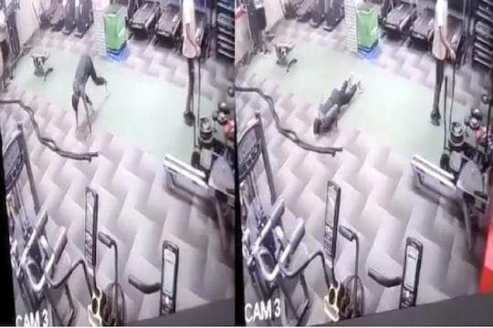 फोटो सौजन्य - ट्विटर व्हिडीओ ग्रॅब.
