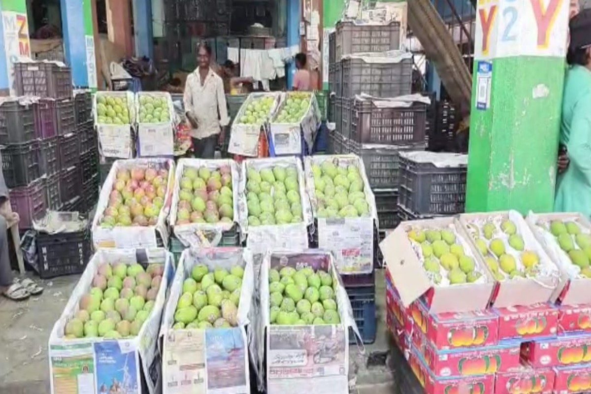 Mango Price In Mumbai Market : कोण आला रे कोण आला, कोकणाचा हापूस महिन्याभराआधीच मुंबईत दाखल
