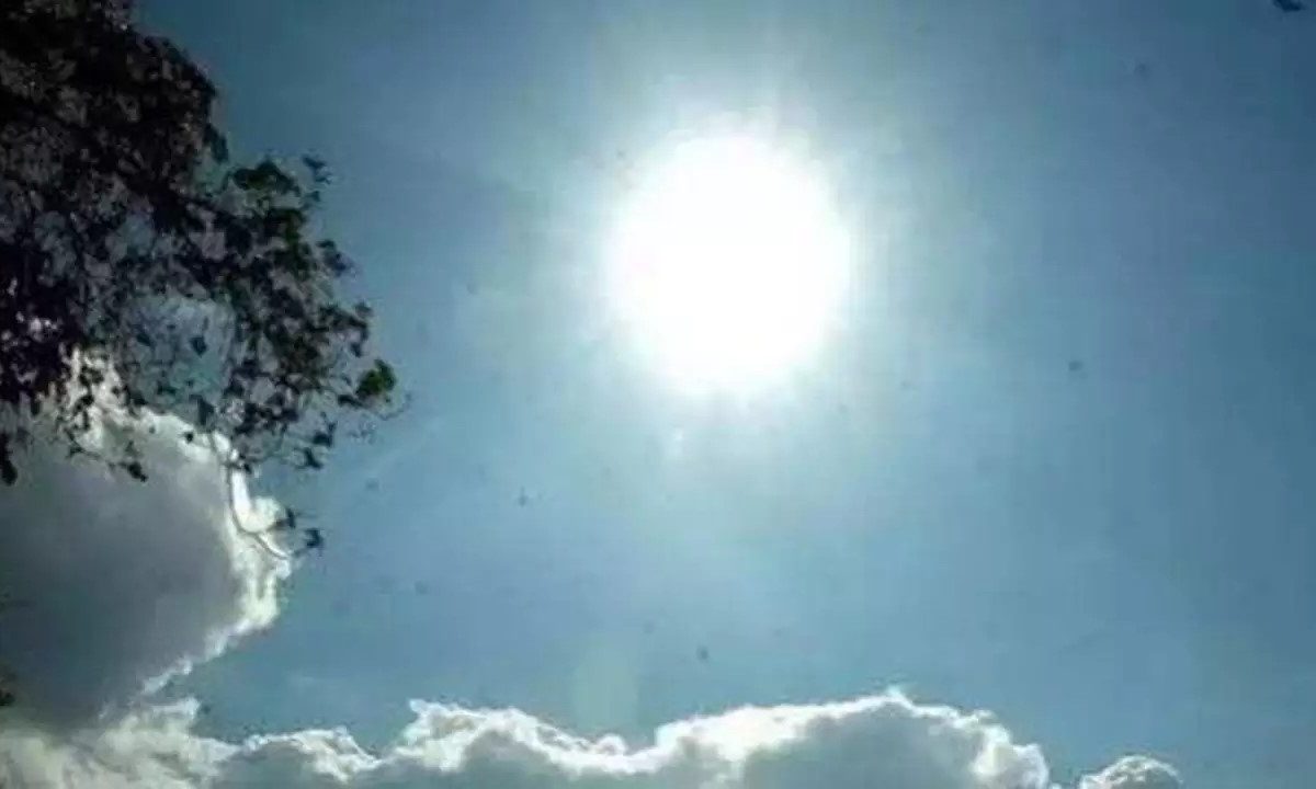 Heat Wave Maharashtra : राज्यात 15 फेब्रुवारीपासून थंडी संपणार, हवामान विभागाकडून महत्वपूर्ण माहिती