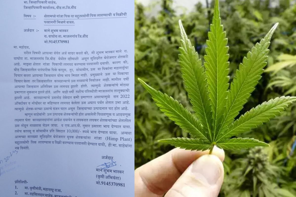 उद्योग धंदे ही बीड जिल्ह्यात नाहीत. या संकटातून शेतकऱ्यांना बाहेर काढायचं असेल तर