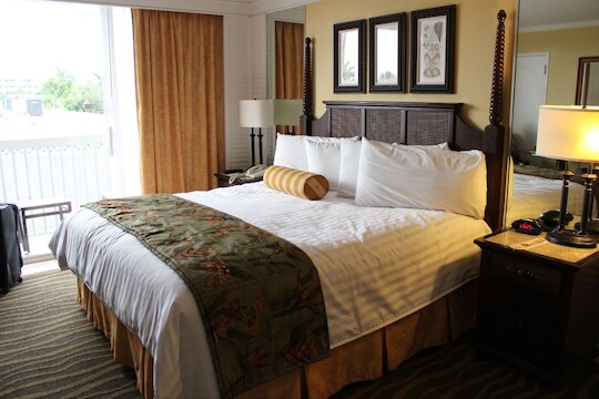 प्रतिकात्मक फोटो