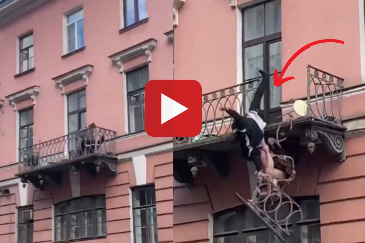 व्हायरल व्हिडीओ