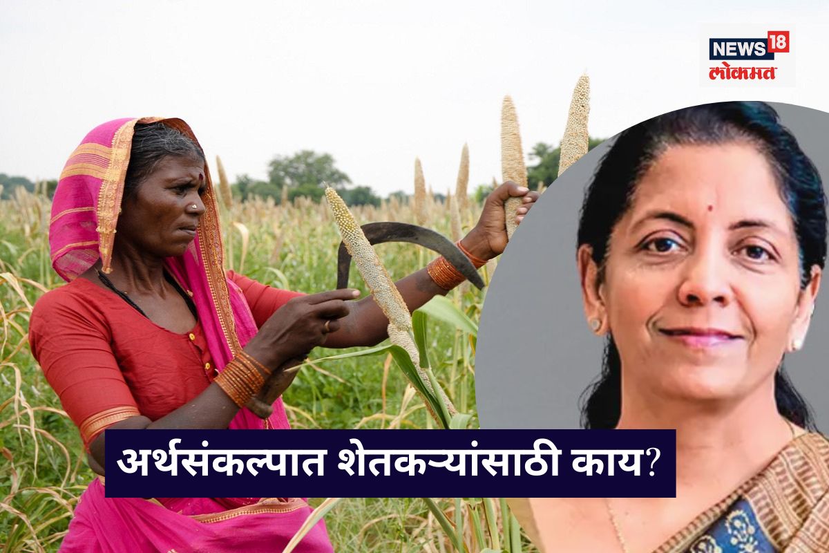 अर्थसंकल्पात शेतकऱ्यांसाठी काय?