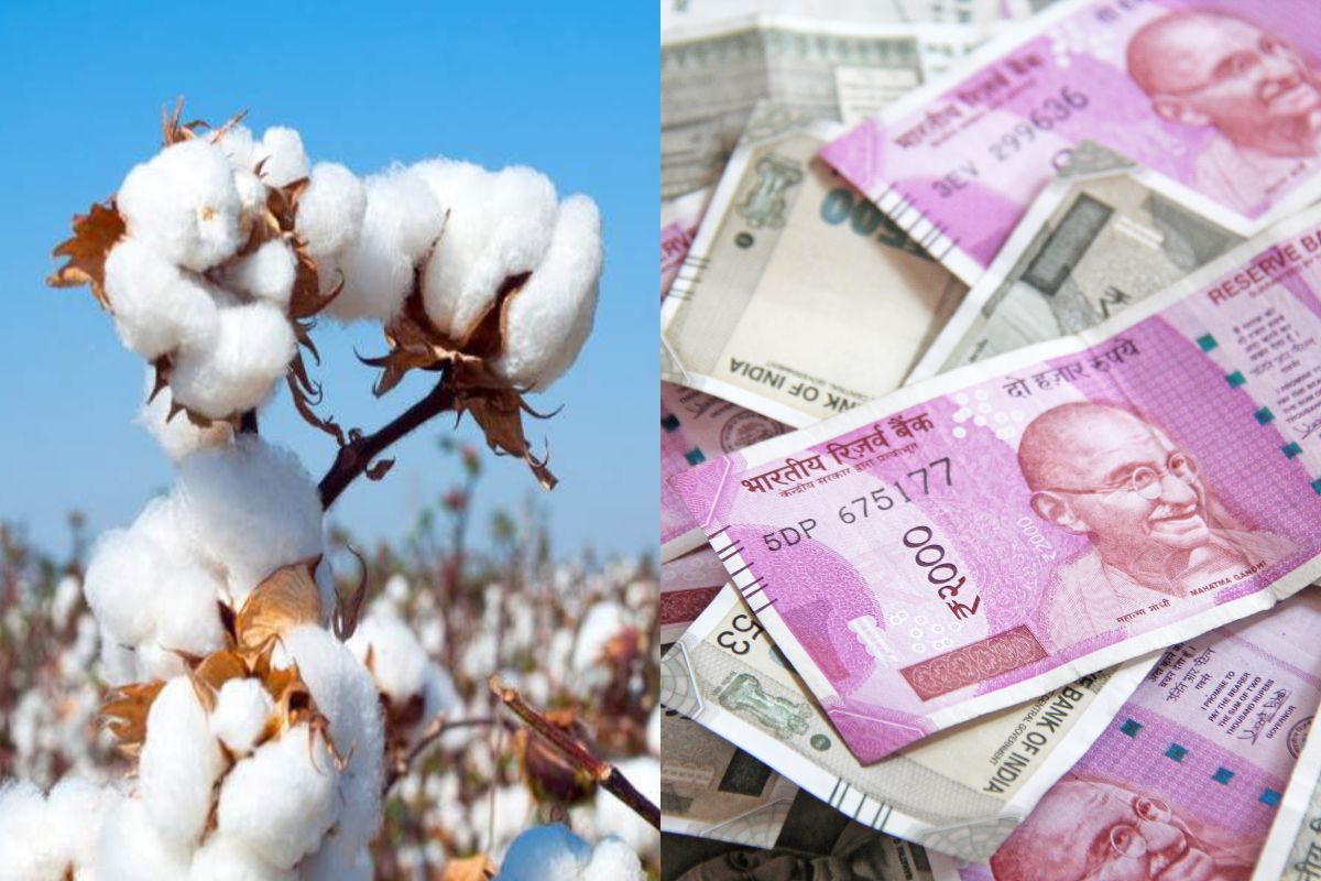 फाईल फोटो