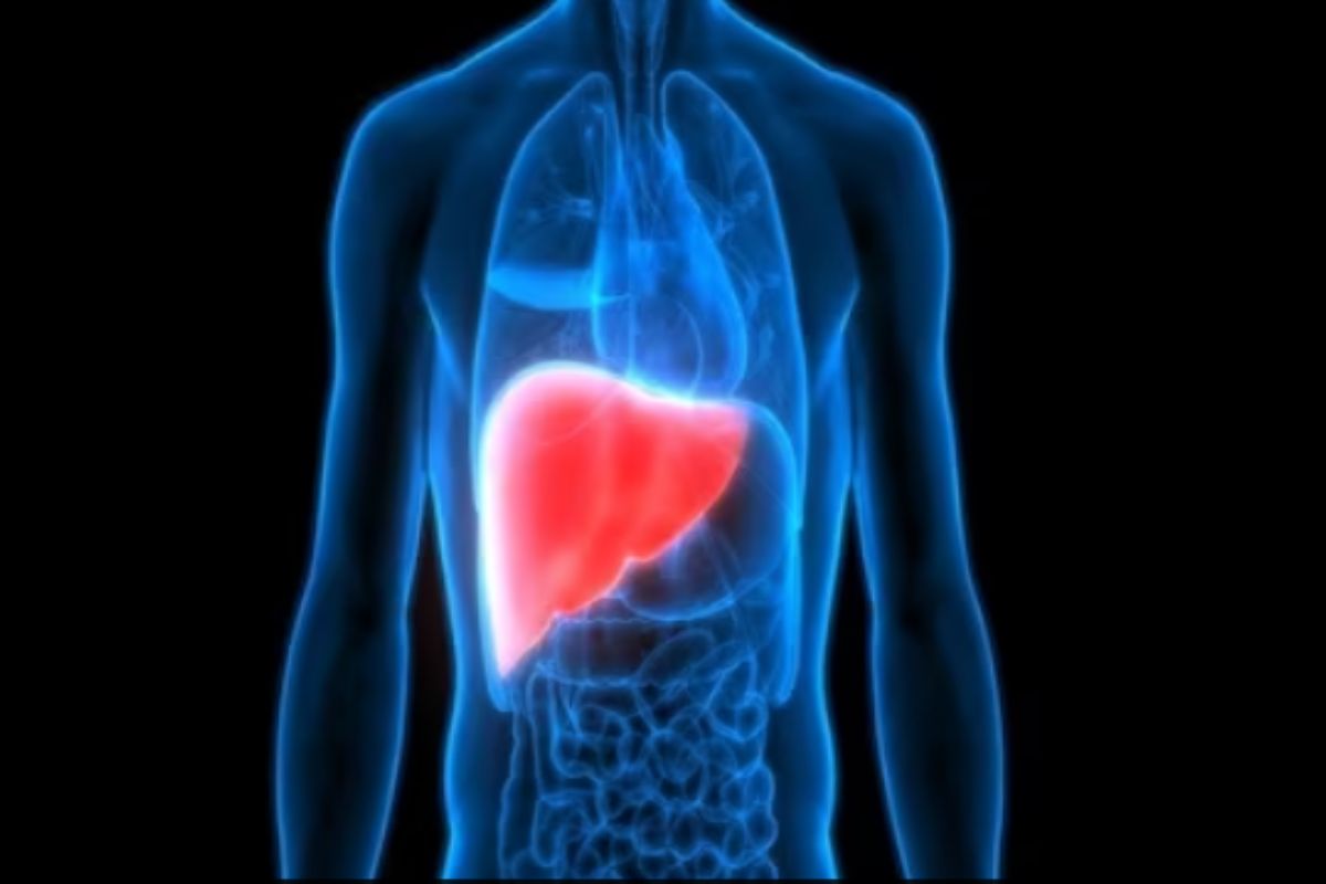 प्रतिकात्मक फोटो