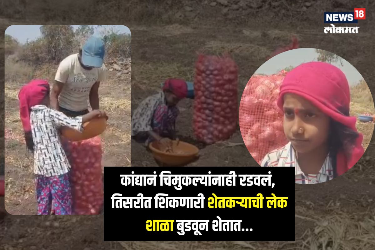 उस्मानाबादमधील कांदा उत्पादक शेतकऱ्याची भीषण परिस्थिती