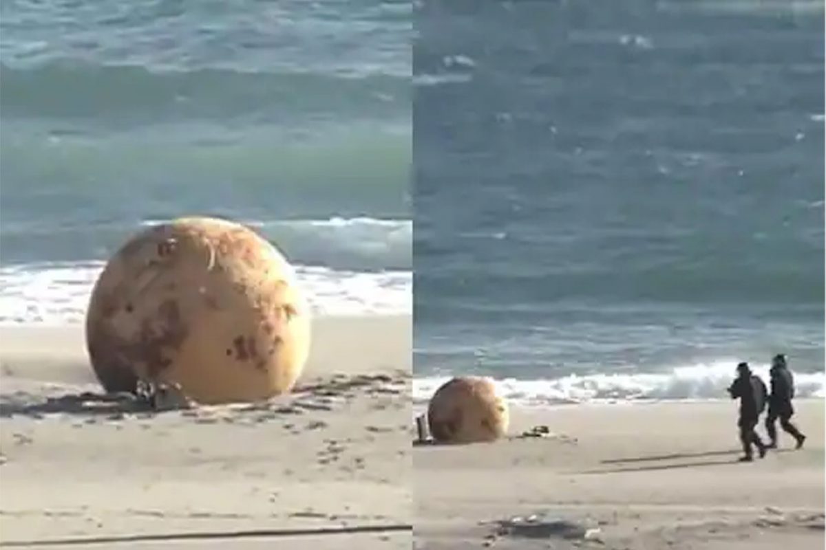 जपानमध्ये समुद्रकिनाऱ्यावर गोंधळ!