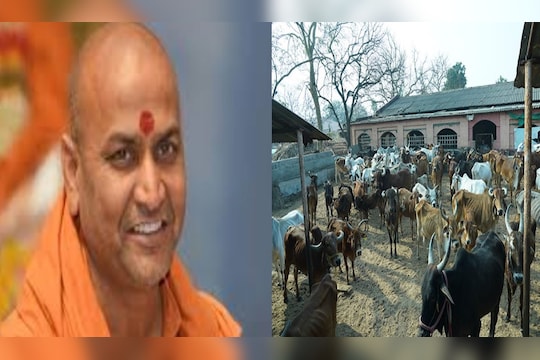 Kaneri Math Kolhapur : 60 गाईंच्या मृत्यूबाबत कणेरी मठाचा खुलासा, पत्रकार मारहाण प्रकरणी व्यक्त केली दिलगिरी
