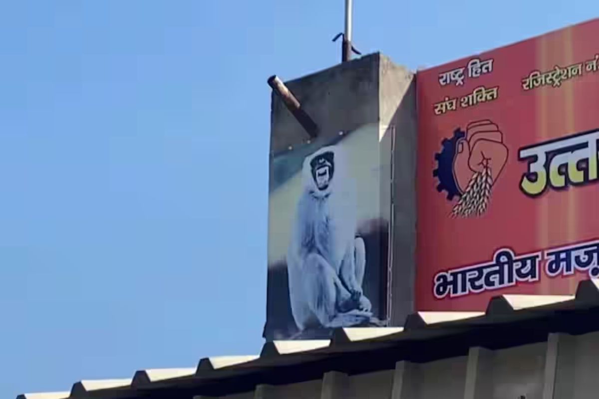 व्हायरल फोटो