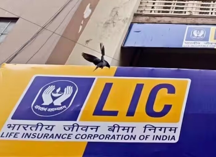 या फरकाचे कारण काय? : खरंतर, एकाच योजनेच्या जोखीम संरक्षणातील परताव्यात इतका मोठा फरक विमा खरेदीदाराच्या वयावर अवलंबून असतो. जर तुम्ही 10 पट परतावा असलेली पॉलिसी खरेदी करत असाल तर तुमचे वय 40 वर्षांपेक्षा जास्त असू नये. जर तुम्ही दुसऱ्या पर्यायाअंतर्गत 15 वर्षांची पॉलिसी निवडत असाल, तर ती 5 वर्षे कमी होऊन 35 वर्षे केली जाईल. 