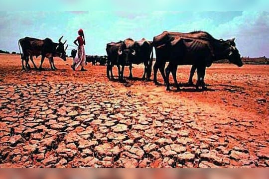 Maharashtra Monsoon Update : धोक्याची घंटा! मान्सूनबद्दल हवामान विभागाची धक्कादायक माहिती