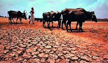 धोक्याची घंटा! मान्सूनबद्दल हवामान विभागाची धक्कादायक माहिती धोक्याची घंटा! मान्सूनबद्दल हवामान विभागाची धक्कादायक माहिती