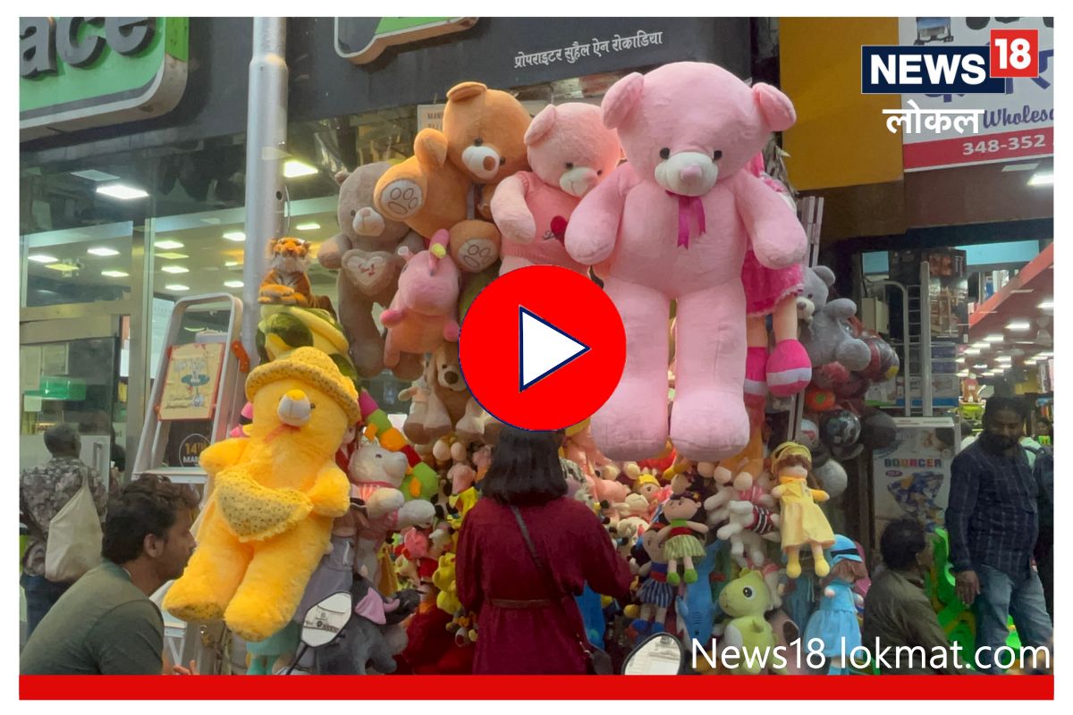 Teddy Day 2023 : पार्टनरला टेडी बेअर गिफ्ट द्यायचंय? ‘इथं’ करा 50 रुपयांपासून खरेदी, पाहा Video