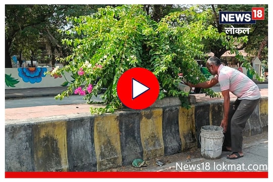 Inspiring Story : 20 वर्षांपासून रस्त्यावरची झाडं जगवणारा नागपूरकर, अनेकांना दिली प्रेरणा, Video