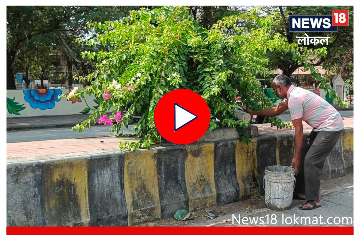 Inspiring Story : 20 वर्षांपासून रस्त्यावरची झाडं जगवणारा नागपूरकर, अनेकांना दिली प्रेरणा, Video