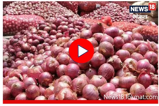 Nashik News: फक्त 2 रुपये किलोनं होतीय कांद्याची विक्री, हतबल शेतकऱ्यांचा सरकारला गंभीर प्रश्न! Video
