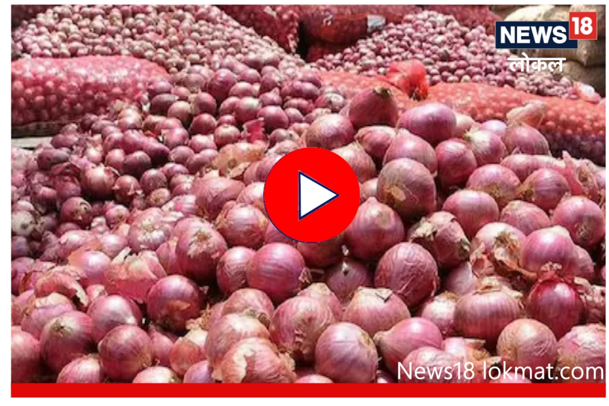 Nashik News: फक्त 2 रुपये किलोनं होतीय कांद्याची विक्री, हतबल शेतकऱ्यांचा सरकारला गंभीर प्रश्न! Video