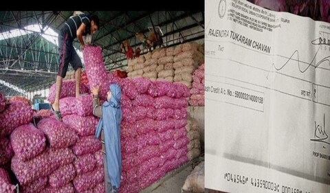 शेतकऱ्याला दोन रुपयाचा चेक देणे अडत व्यापाऱ्याला महागात पडले आहे. सोलापूर कृषी उत्पन्न बाजार समितीकडून कांदा व्यापाऱ्यावर कारवाई करण्यात आली आहे.