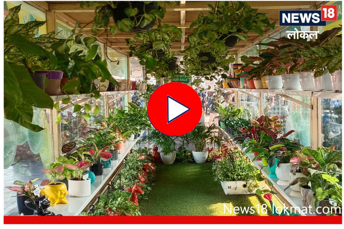 Nashik : रेल्वे स्टेशनवर मिळणार शुद्ध हवा, पाहा कसं आहे देशातील पहिलं ऑक्सिजन पार्लर! Video