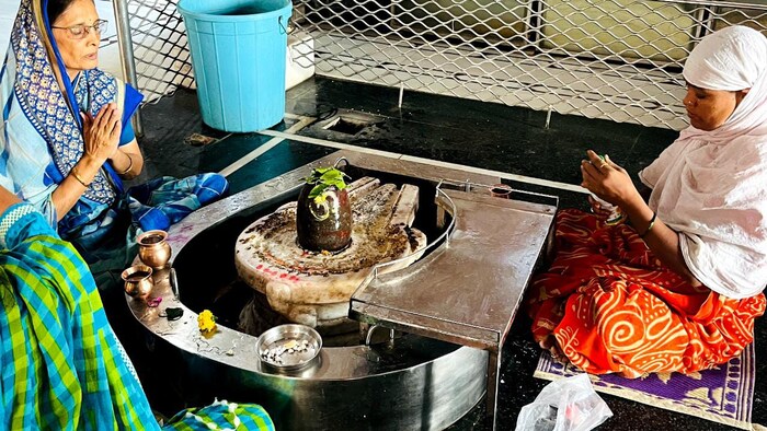 महाल भागातील नागपूरकर भोसले यांच्या वाड्याजवळच जमिनीत महादेवाचे मंदिर आहे. हे शिवलिंग जमिनीत असल्याने त्याला पाताळेश्वर असं म्हंटलं जातं.