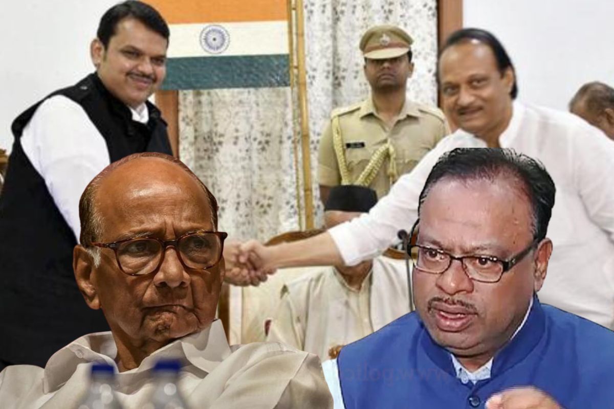 'शरद पवारांना भाजपसोबत युती हवी होती, पण...', बावनकुळेंचा खळबळजनक गौप्यस्फोट