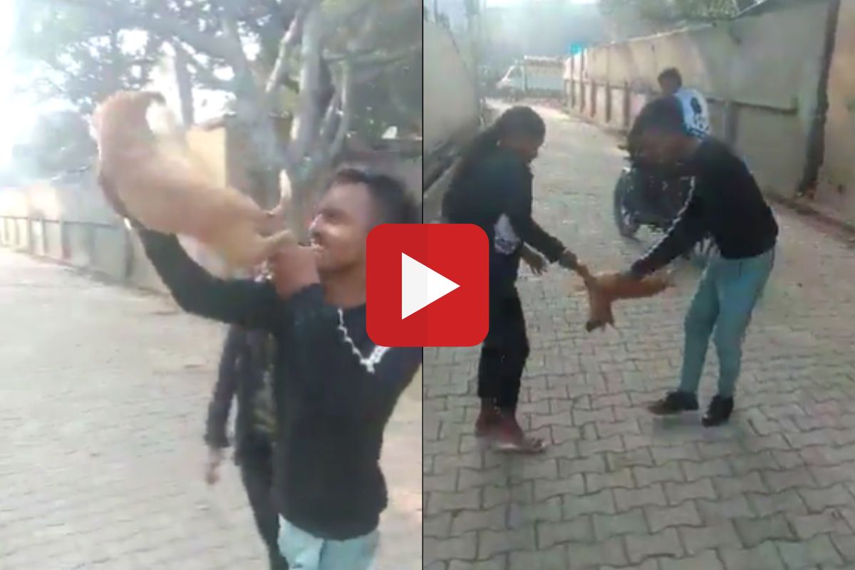 धक्कादायक व्हिडीओ