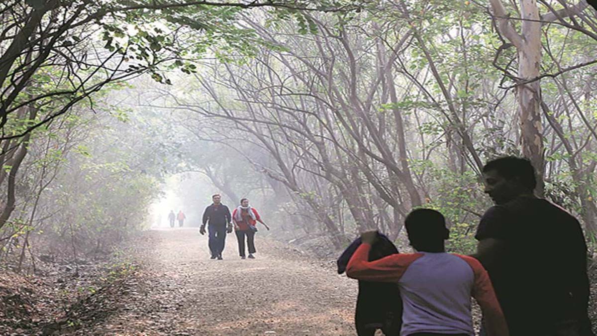 Maharashtra Weather Cold Wave : राज्यात थंडी पुन्हा थैमान घालणार, औरंगाबादसह पुण्यात पारा घसरला