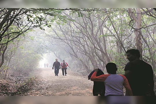 Maharashtra Weather Cold Wave : राज्यात थंडी पुन्हा थैमान घालणार, औरंगाबादसह पुण्यात पारा घसरला