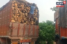 रत्नागिरीत खुलेआम वृक्षांची कत्तल! स्थानिकांमुळे 19 लोखांचा मुद्देमाल जप्त