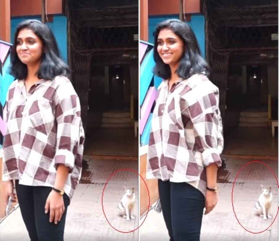 [object Object], पापाराझींना फोटो देऊन रिंकू मागे वळली तेव्हा तिच्या मागे एक क्यूट मांजर तिच्याकडे एकटक पाहत होती.