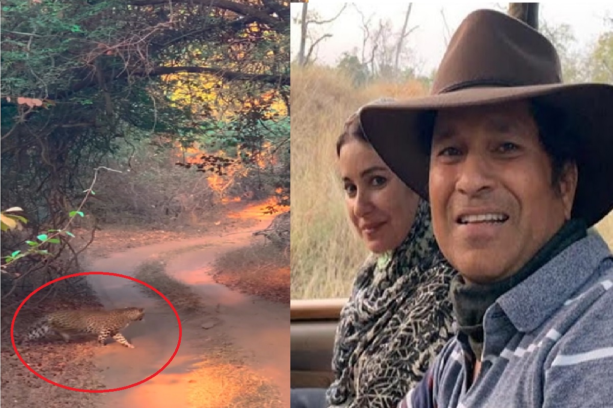 सचिन तेंडुलकर आणि बिबट्यामध्ये रंगला लपाछपीचा खेळ; Video आला समोर