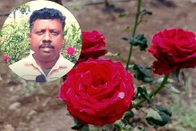 सांगलीच्या गुलाबाचा देशात डंका! 2 एकरातून करतोय लाखोंची कमाई, पाहा PHOTO