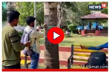 सोलापूरकर घेणार मोकळा श्वास, शहरातील धूळ रोखण्यासाठी पालिकेनं शोधला उपाय, Video सोलापूरकर घेणार मोकळा श्वास, शहरातील धूळ रोखण्यासाठी पालिकेनं शोधला उपाय, Video
