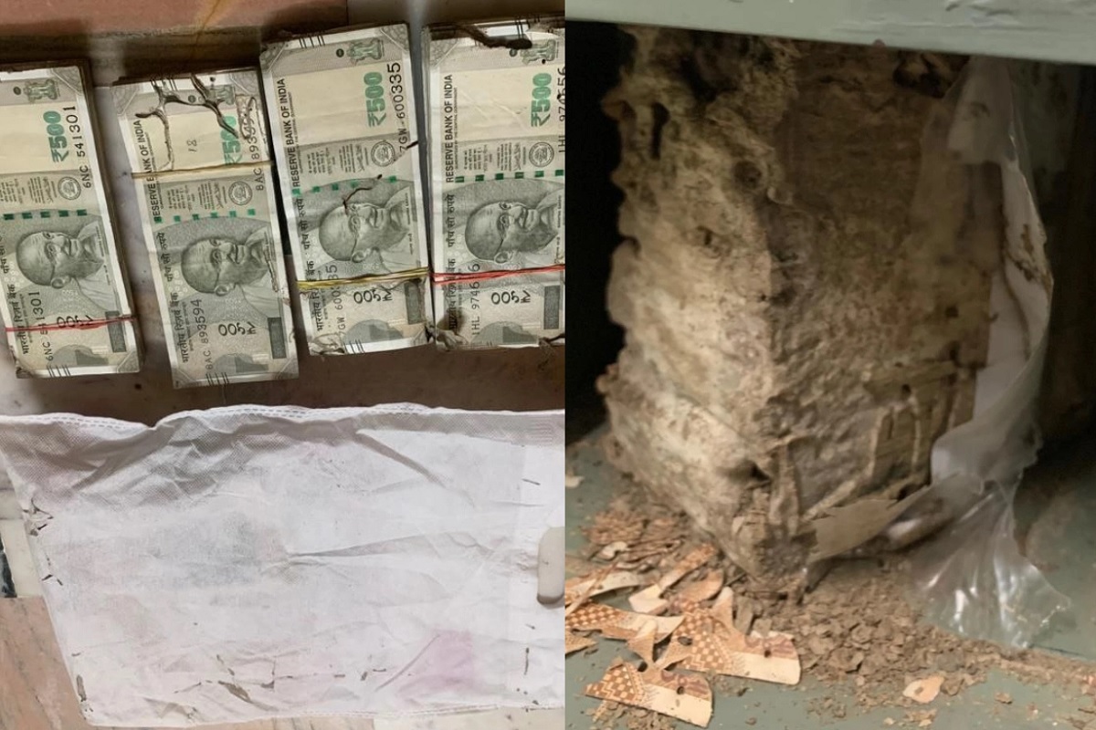 लॉकरमधील पैशांना लागली वाळवी